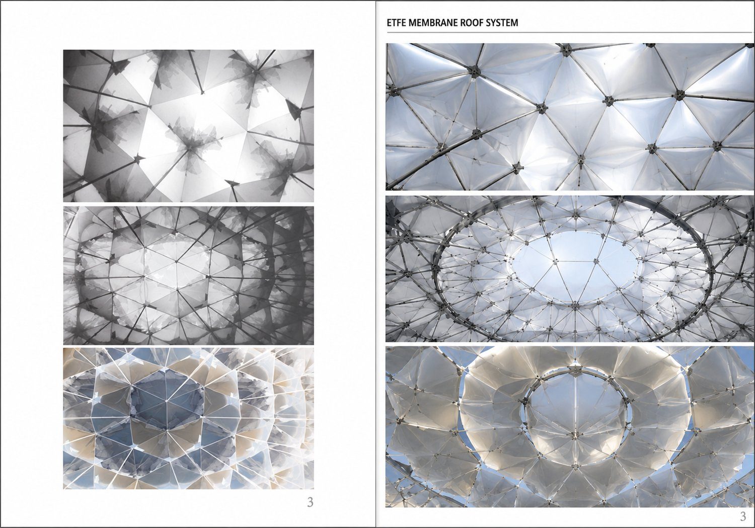 Plate V — ETFE membrane study
